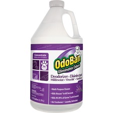 OdoBan ODO911162G4 Surface Cleaner