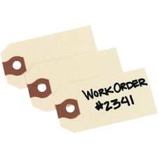 Avery AVE12301 Shipping Tag