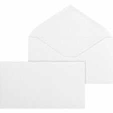 Business Source BSN42252 Envelope